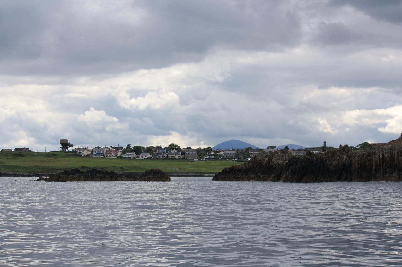Ringfad B&B Ardglass Buitenkant foto