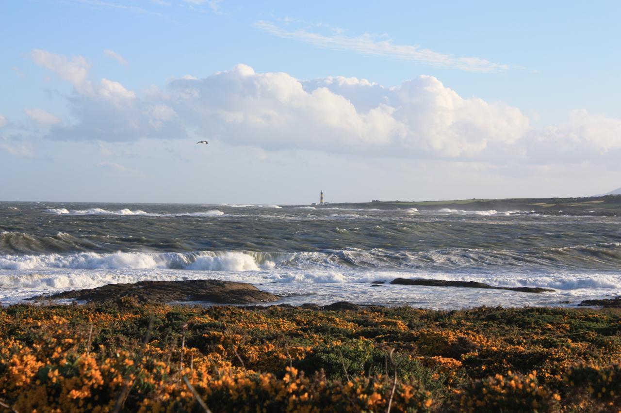 Ringfad B&B Ardglass Buitenkant foto